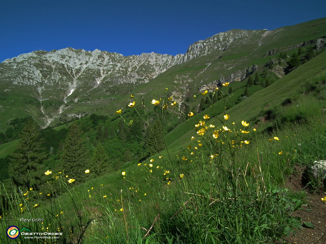 12 in alto la costiera rocciosa del Menna.JPG